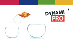 dynamipro